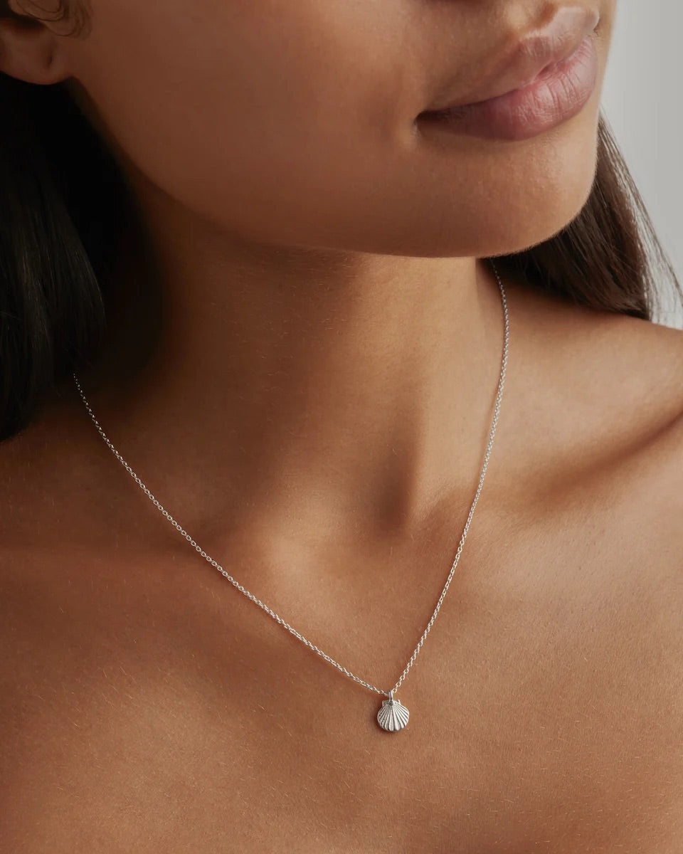 By Charlotte - By The Shore Shell Necklace - Silver