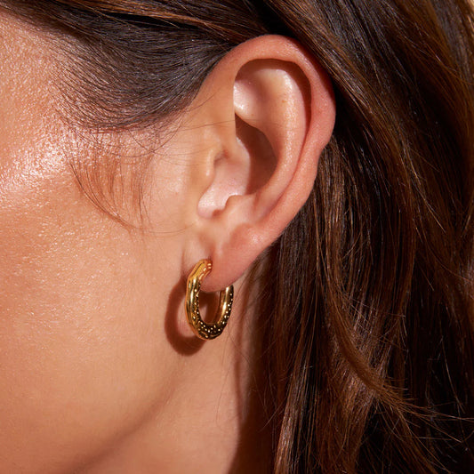 Arms of Eve - Astrid Gold Hoop Earrings