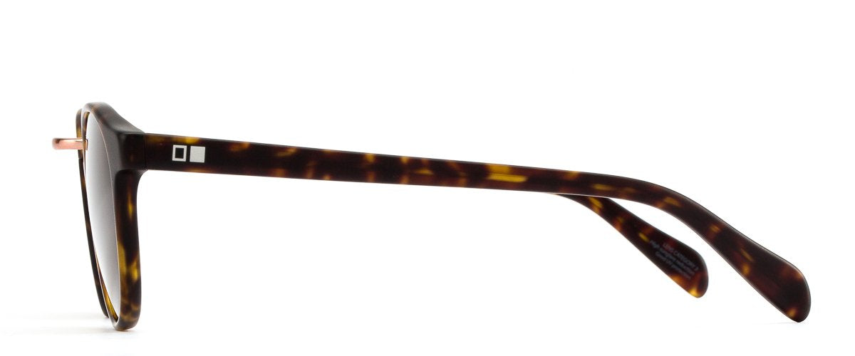 Otis - A Day Late - Matte Dark Tort