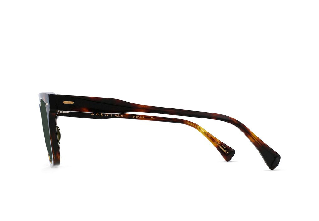 Raen - Adin 54 - Kola Tortoise/Green Polarized
