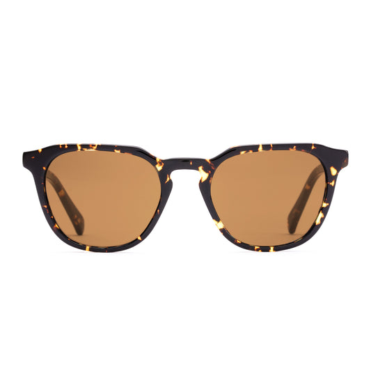 Otis - Divide X - Eco Star Tort/Brown