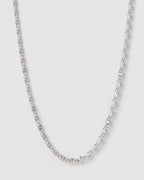 Arms Of Eve - Dragon Chain Necklace - Silver