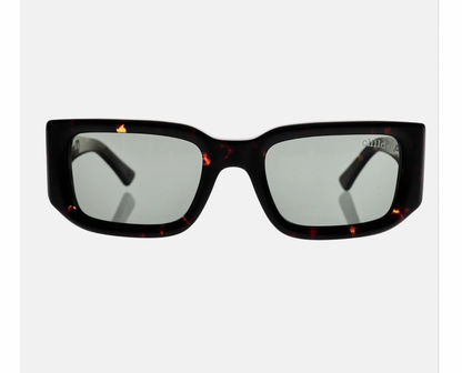 Childe - SoliTV Gloss Havana Tort  / Green Polarised Bio Lens