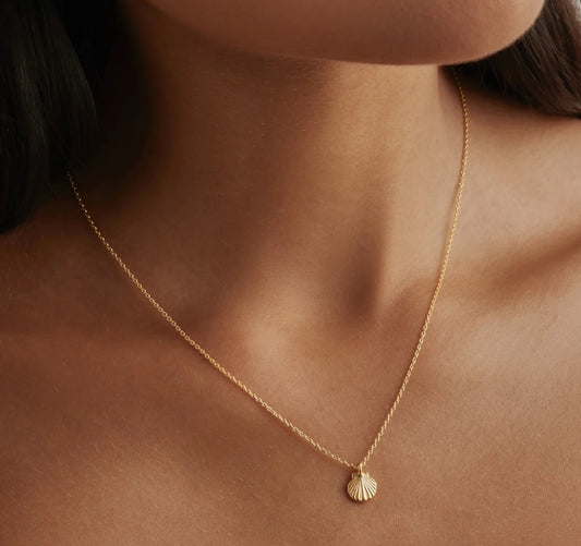 By Charlotte - By The Shore Shell Necklace - Gold