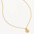 By Charlotte - By The Shore Shell Necklace - Gold