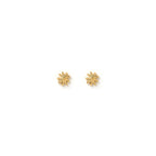 Arms Of Eve - Magnolia Studs - Gold