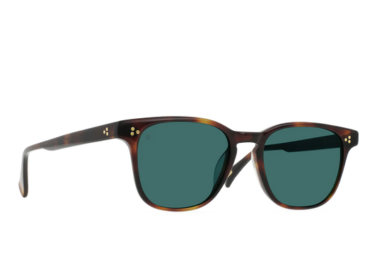 Raen - Alvez - Kola Tortoise