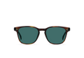 Raen - Alvez - Kola Tortoise