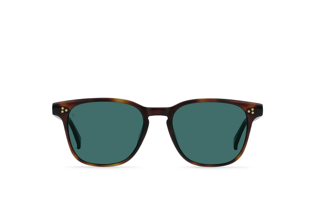 Raen - Alvez - Kola Tortoise