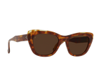 Raen - Kimma - Oso Tortoise