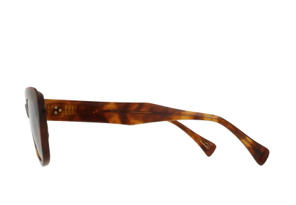 Raen - Kimma - Oso Tortoise