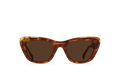 Raen - Kimma - Oso Tortoise