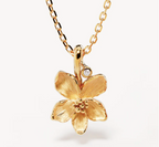 By Charlotte - Violet February - Gold