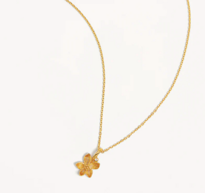 By Charlotte - Violet February - Gold