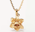 By Charlotte - Daffodil March - Gold