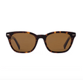 Otis - Chorus - Eco Havana Ray / Brown Polar