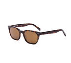 Otis - Chorus - Eco Havana Ray / Brown Polar