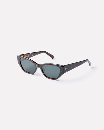 Epokhe - Reprise - Dark Tortoise Polished / Green