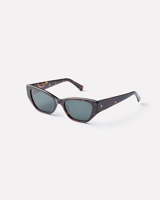 Epokhe - Reprise - Dark Tortoise Polished / Green