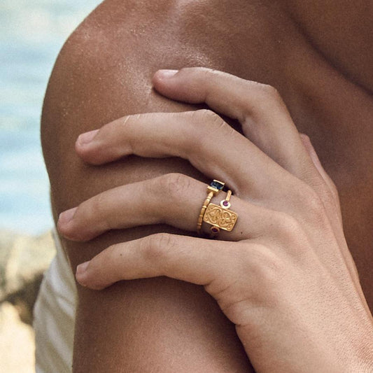 Temple Of The Sun - Ruby Seal Ring - Gold