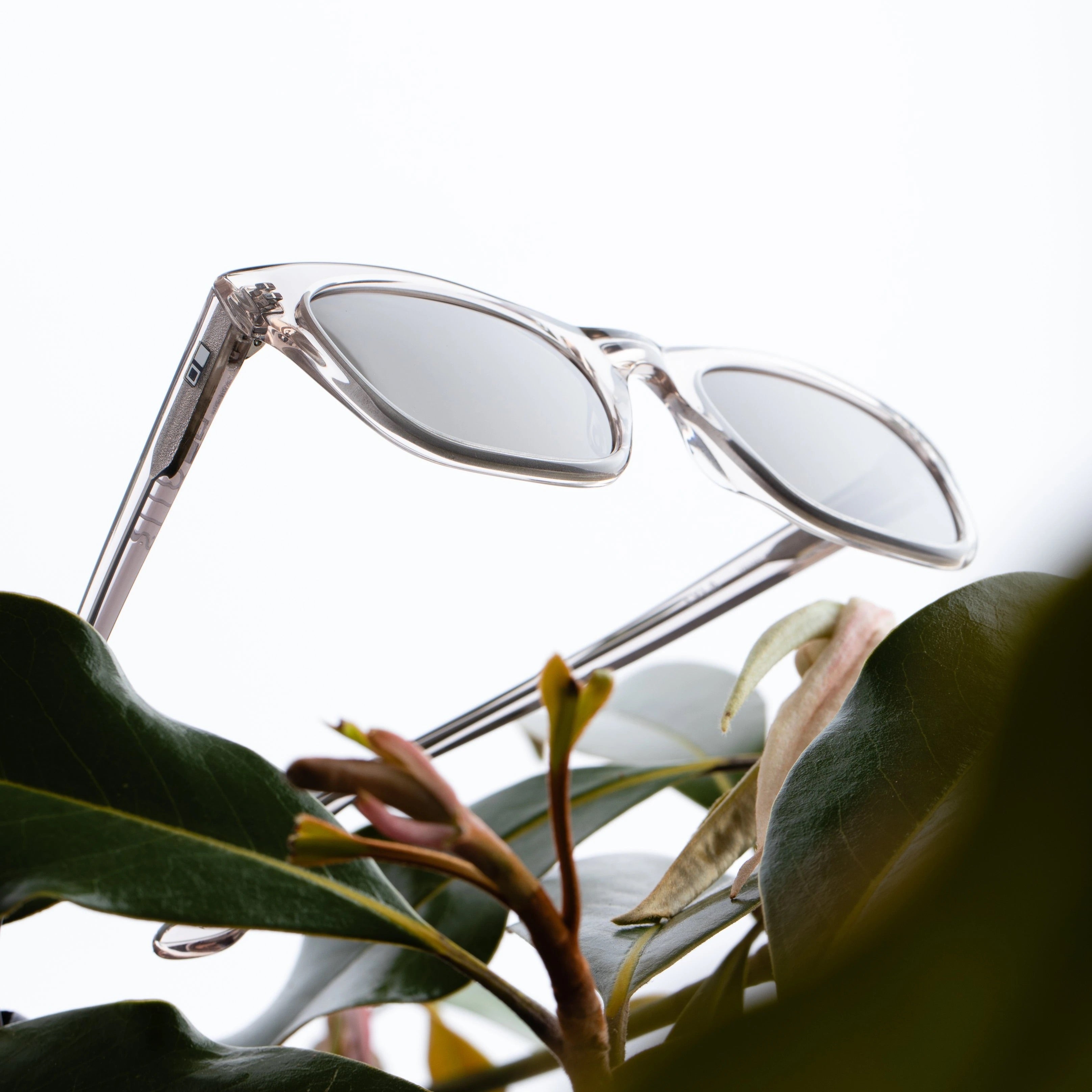 Otis - Summer of 67 ECO - Clear / Grey Polarised